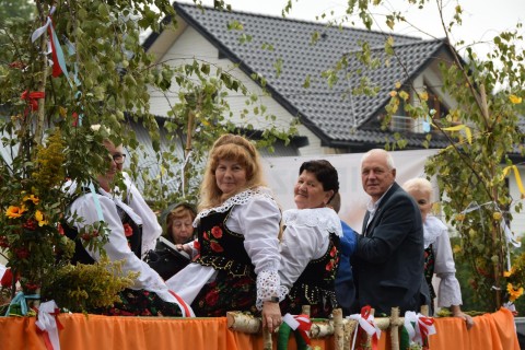 Zdjęcie - 