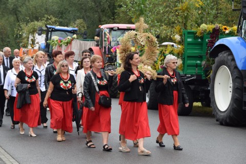 Zdjęcie - 