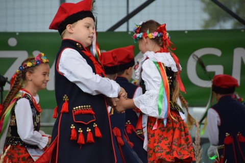 Zdjęcie - 