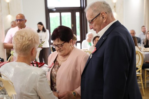 Zdjęcie - 